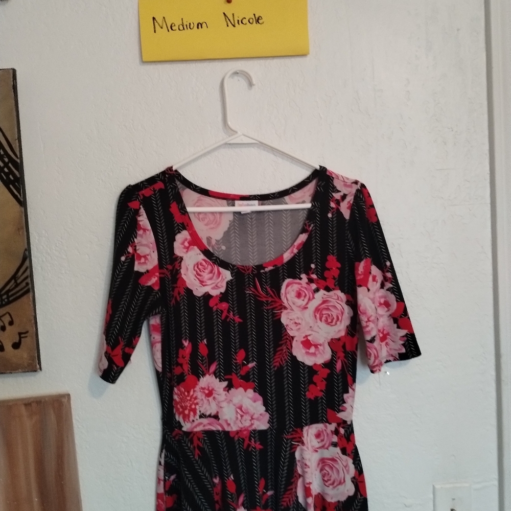 Nicole Lularoe Medium
